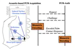 Challenge-response Biometric Authentication for Handheld Devices